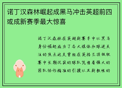 诺丁汉森林崛起成黑马冲击英超前四或成新赛季最大惊喜